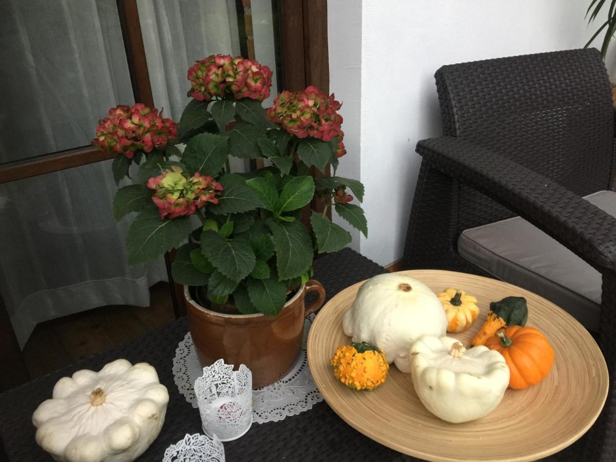 ŁapczyceDom Pod Orzechem别墅 外观 照片